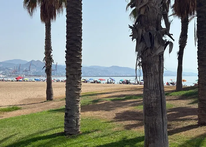 Agreda Diseno Y Playa
